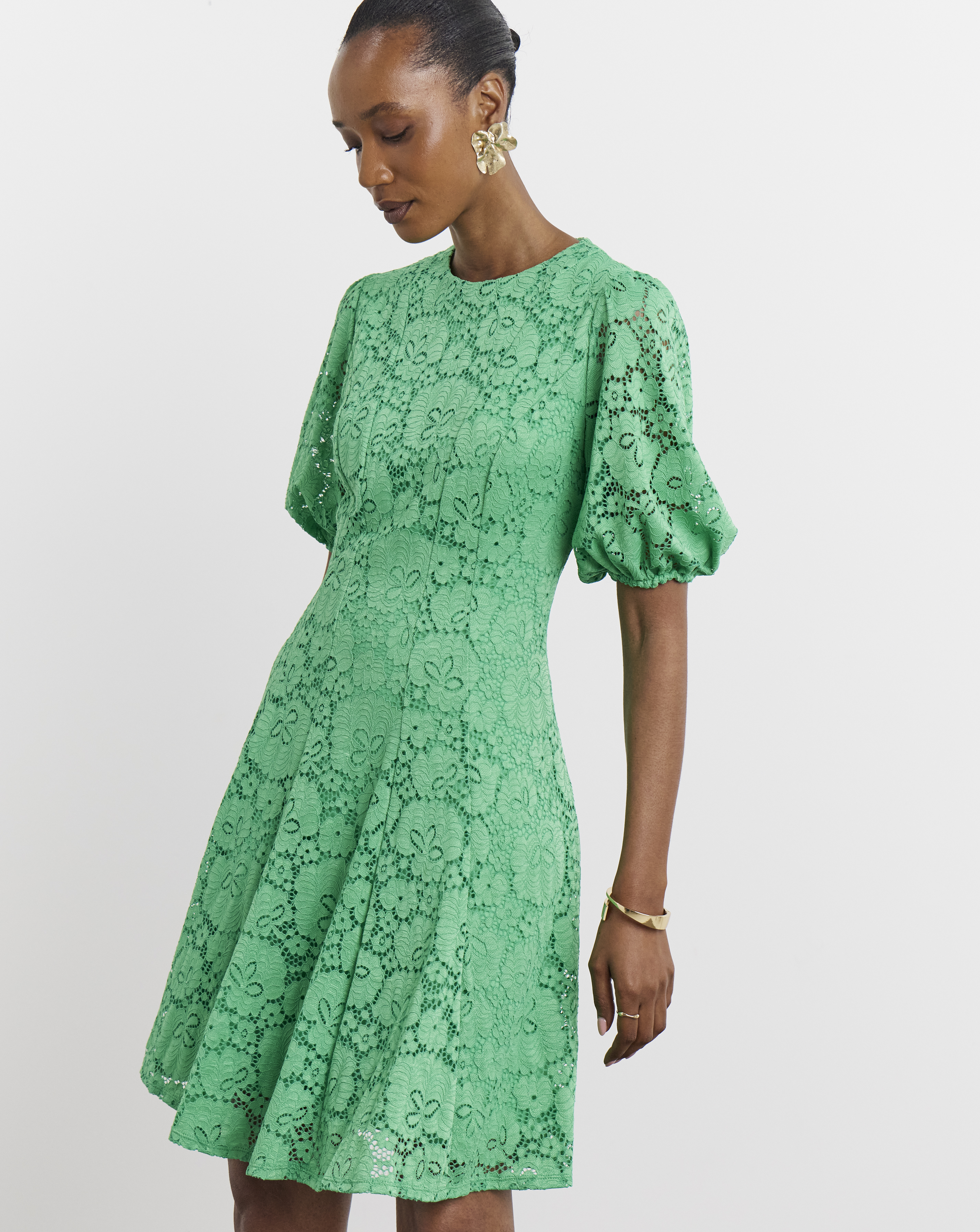 Joanna Hope Stretch Lace Skater Dress