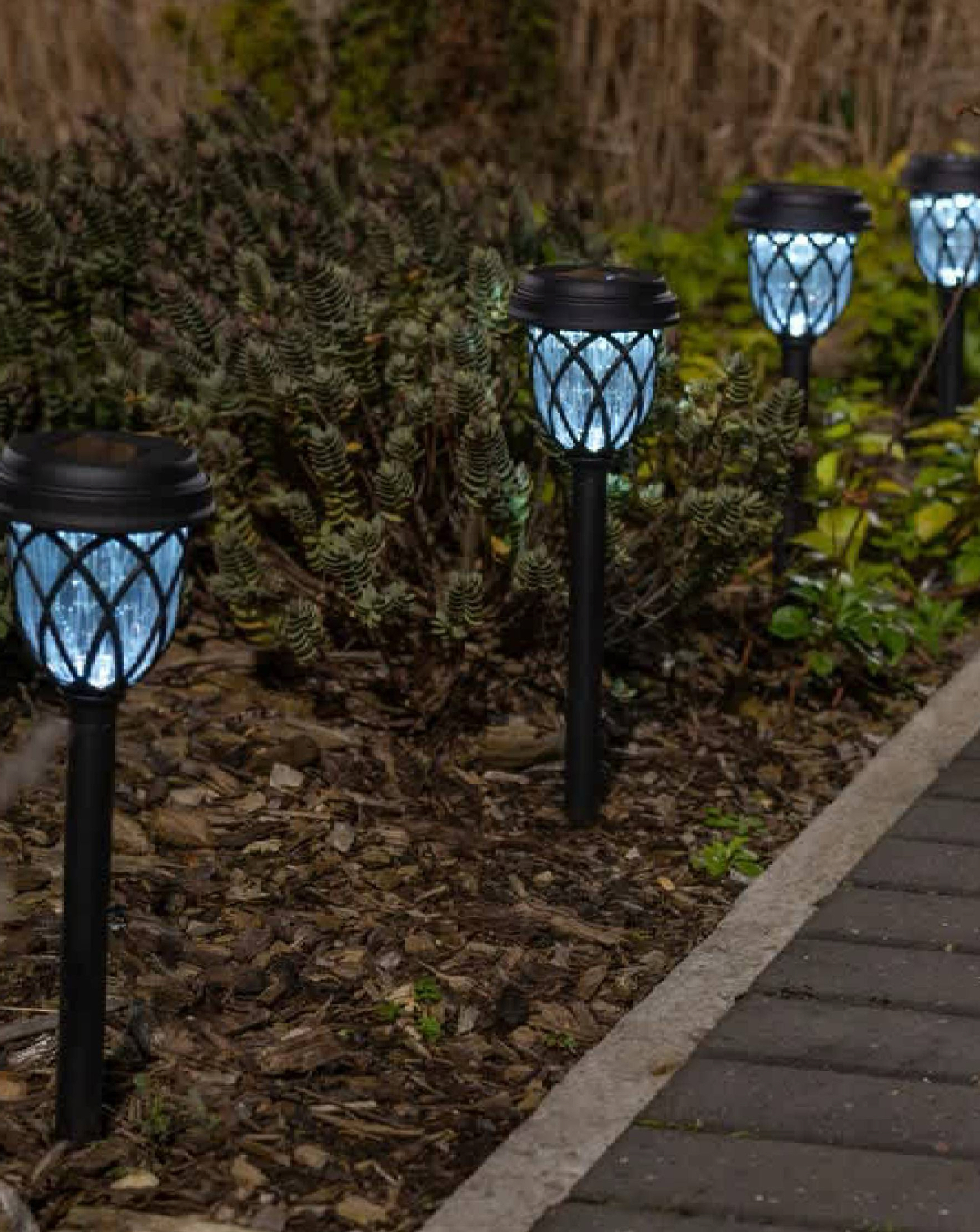 New In - ValueLights Pack of 6