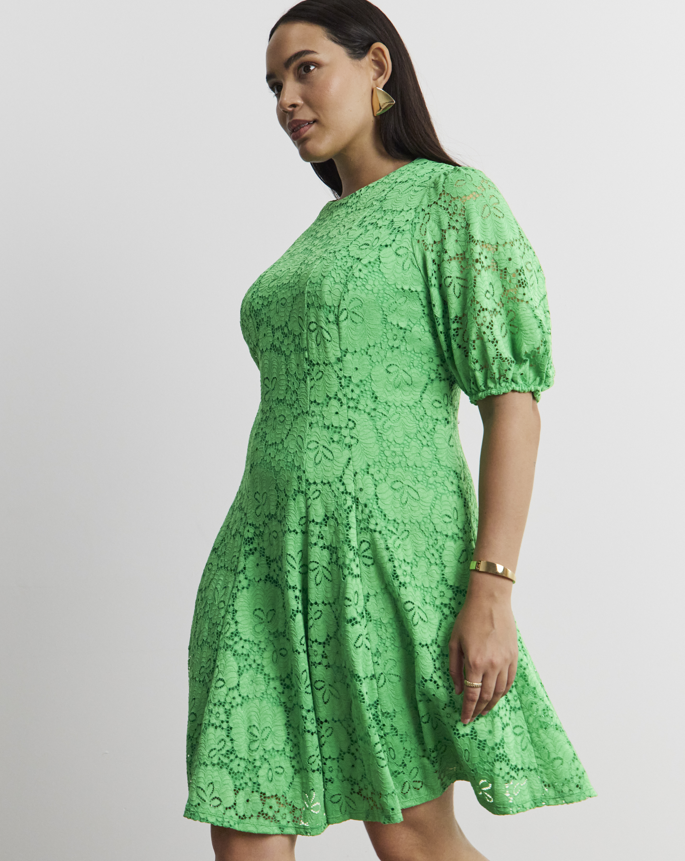 Joanna Hope Stretch Lace Skater Dress