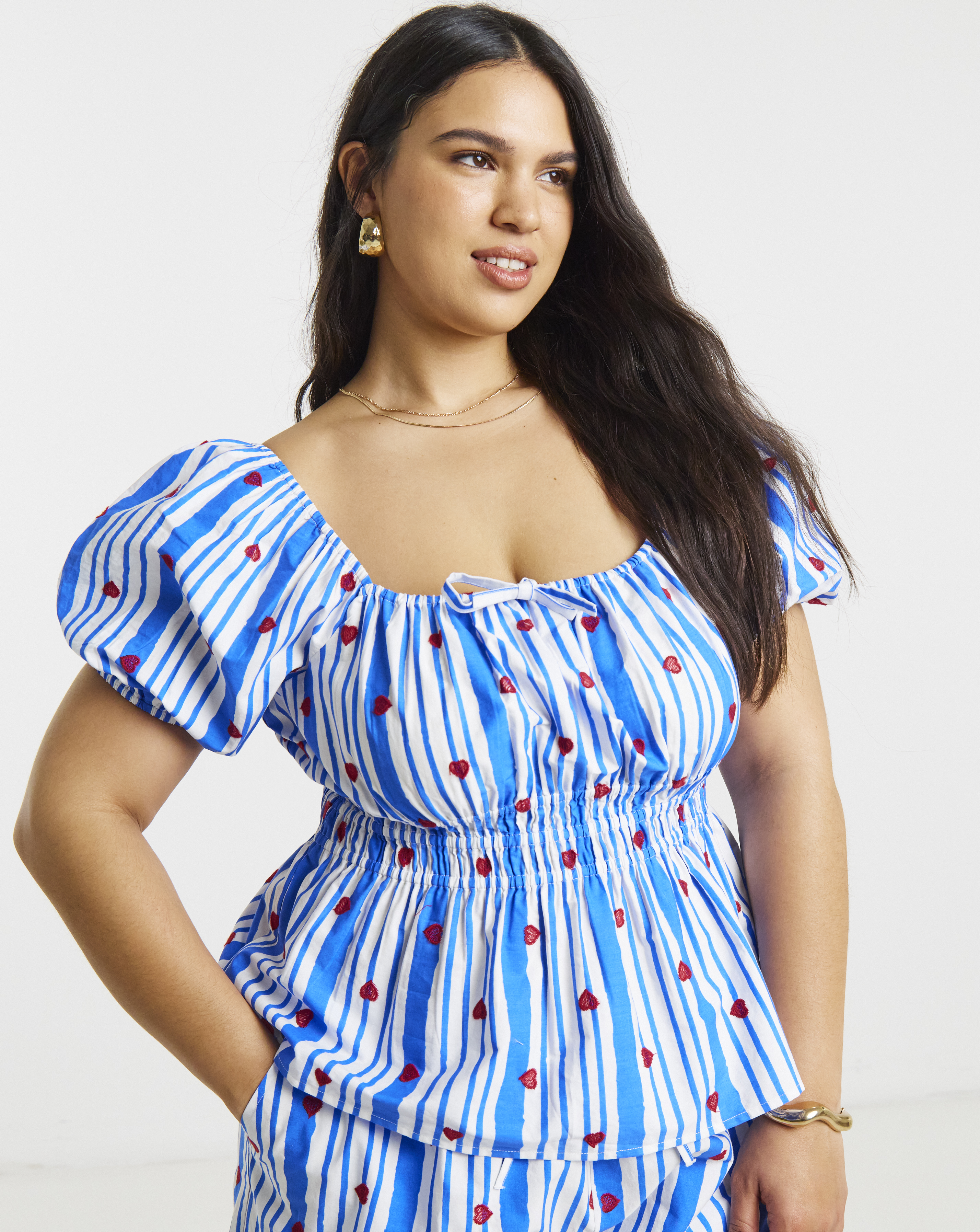 New In - Blue Stripe Embroidered Top