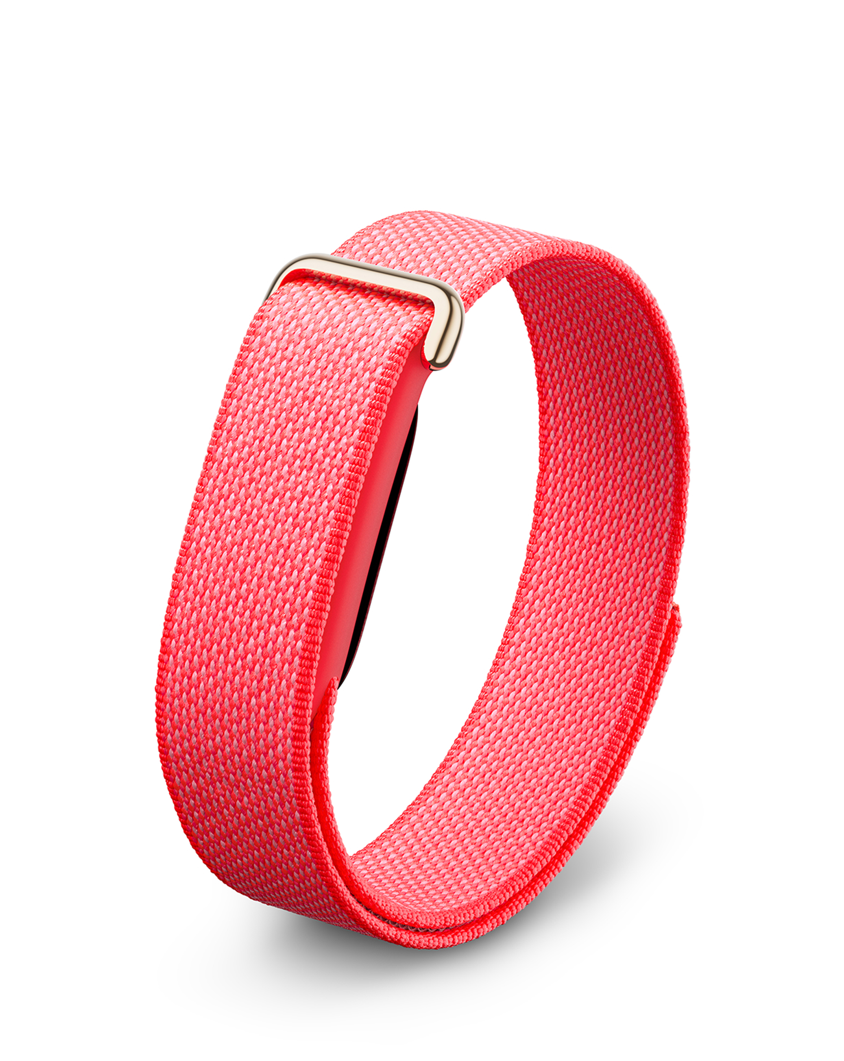 Google Fitbit Air Berry