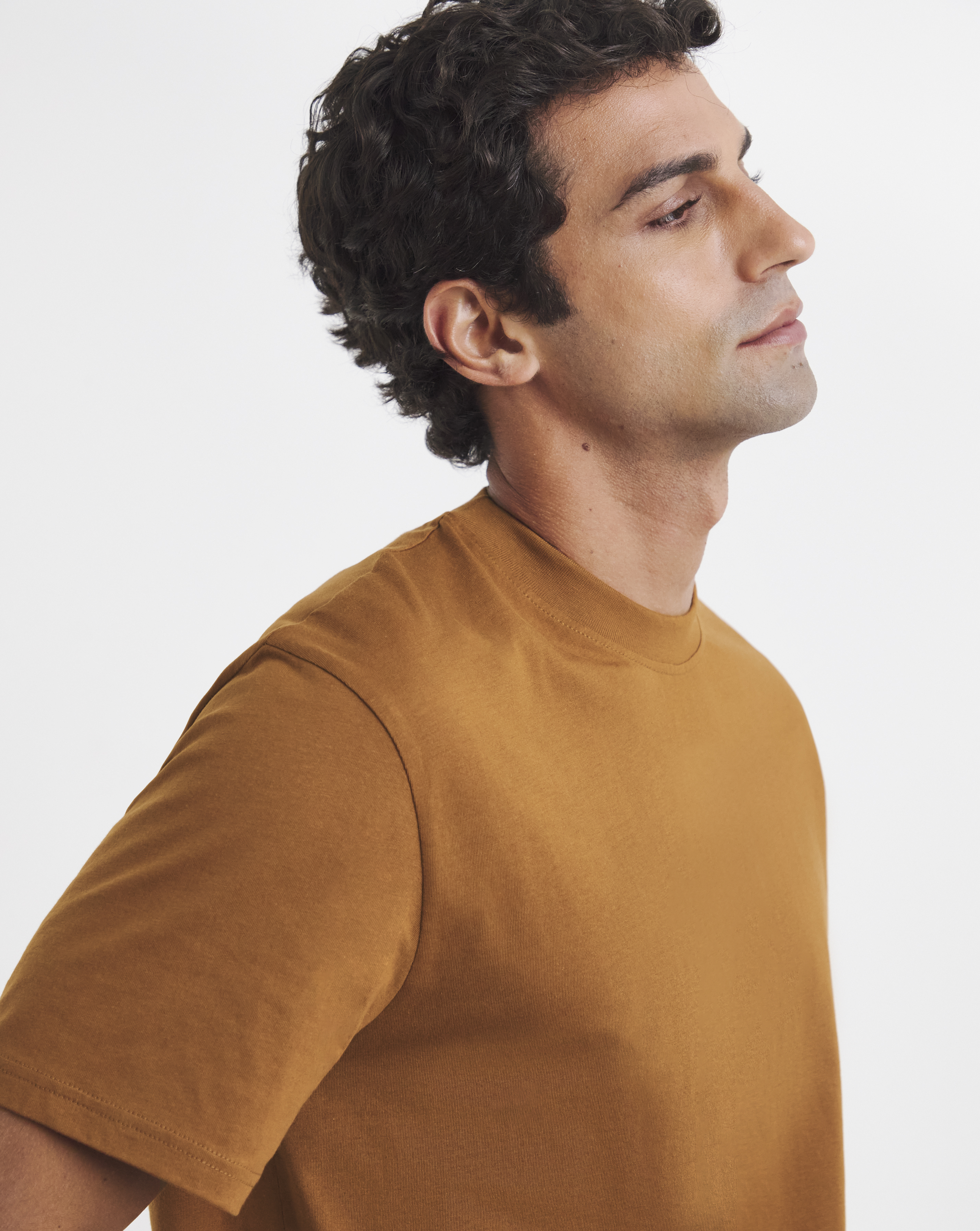 Pure Cotton Crew Neck T-Shirt Long