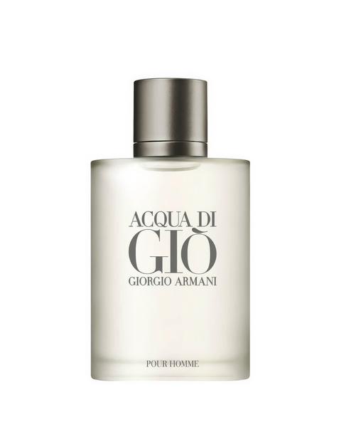 Giorgio Armani Acqua Di Gio EDT 100ml