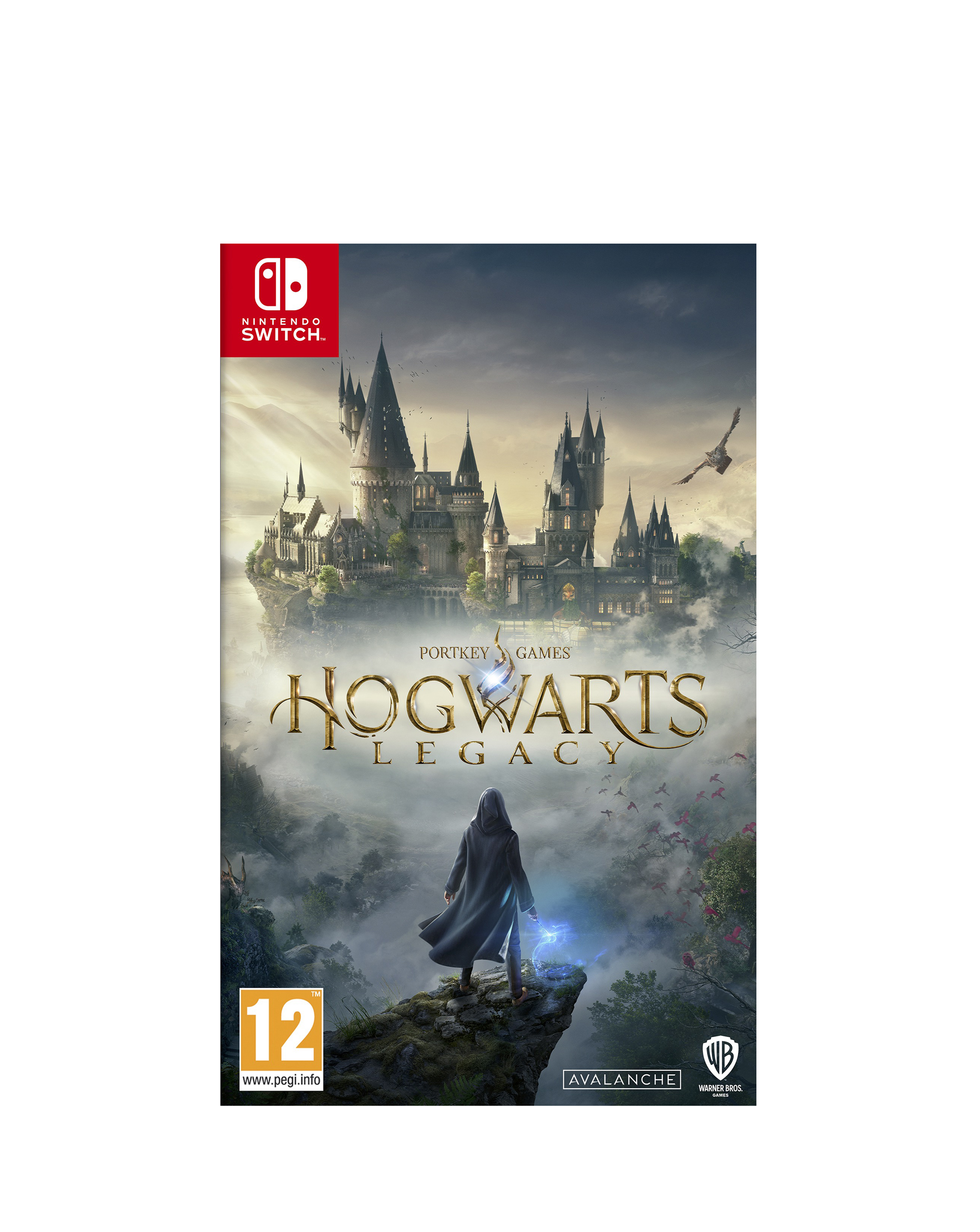 Hogwarts Legacy:Standard Edtn (Switch)