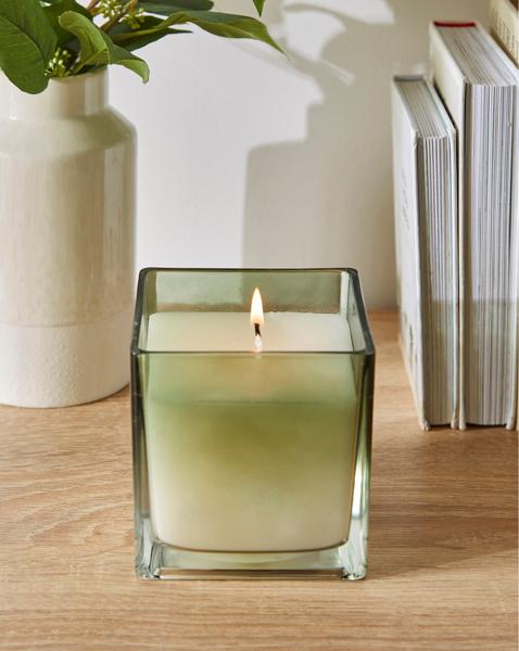 Fig & Apple Scented Candle