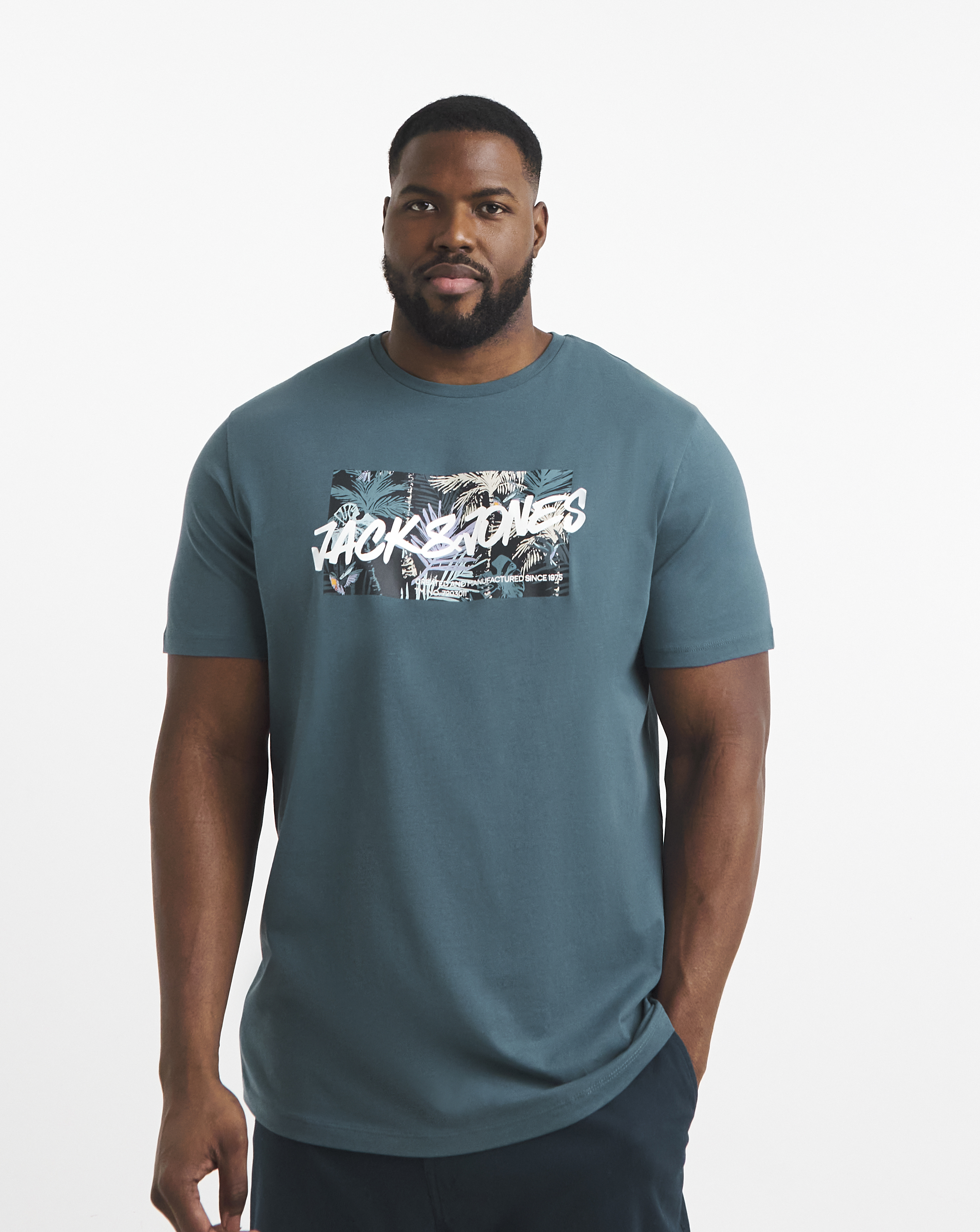 Jack & Jones Hawaii Logo T-Shirt - Blue