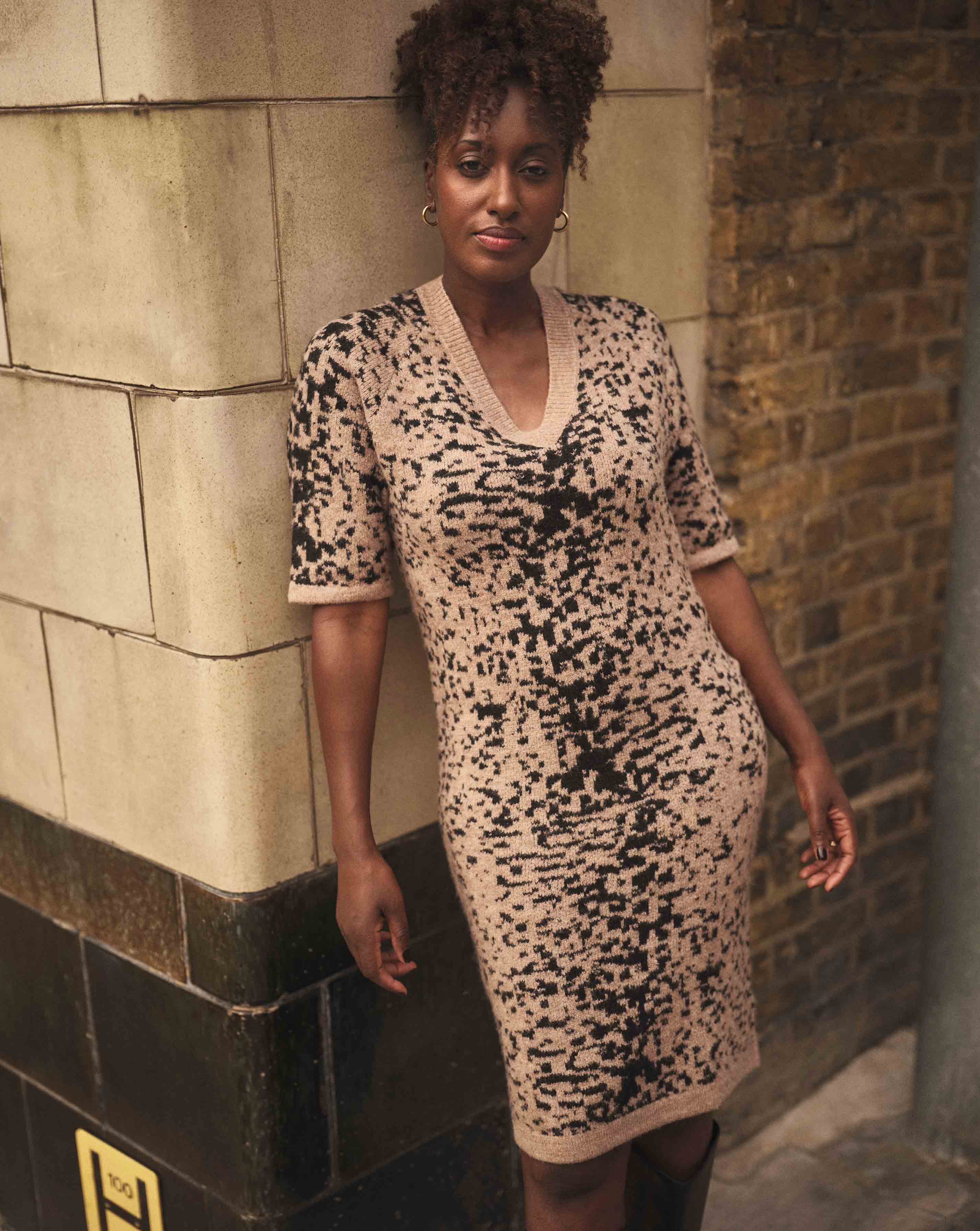 V Neck Animal Dress