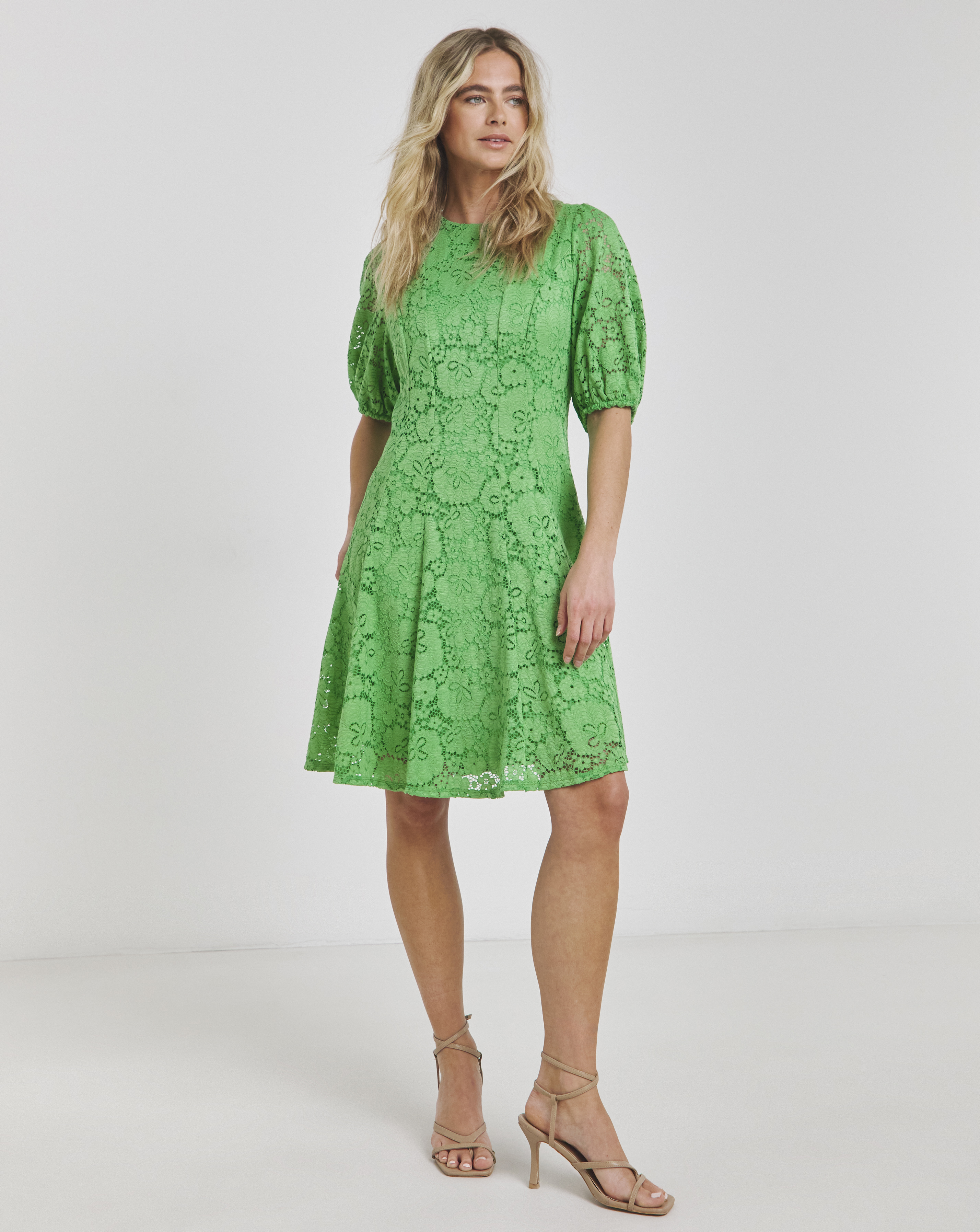 Joanna Hope Stretch Lace Skater Dress