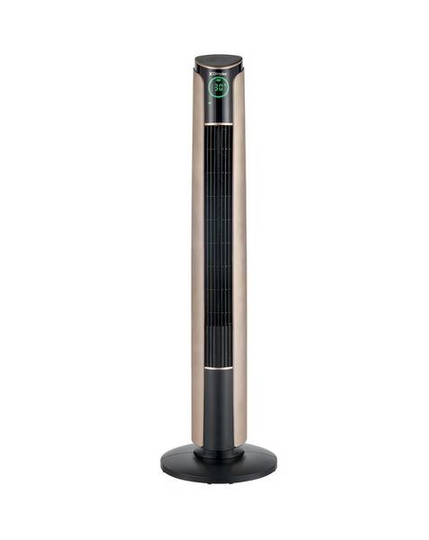 Dimplex Ion Fresh Cooling Fan DXIONCF