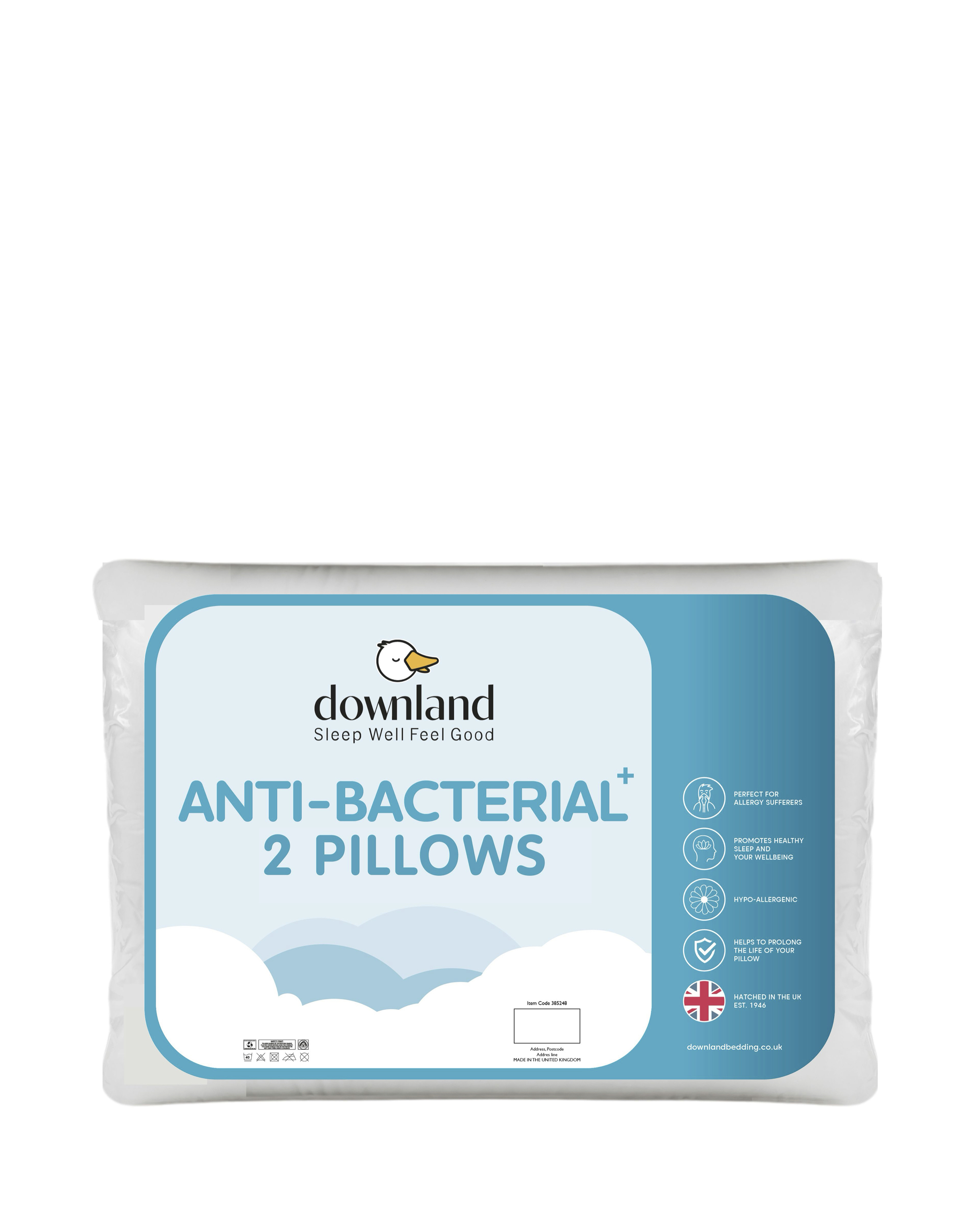 Anti-Bacterial Pack of 2 Pillows