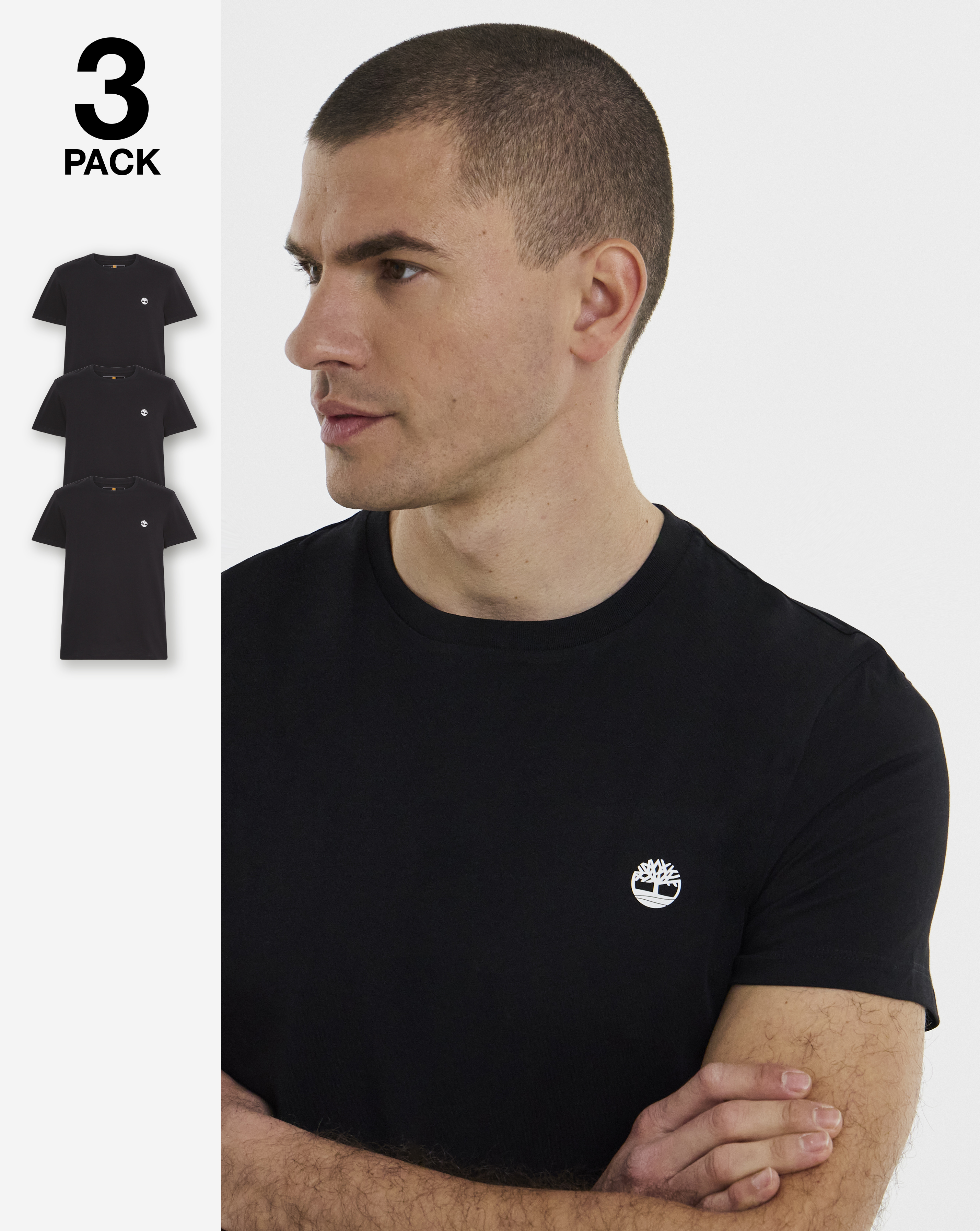 Timberland Dunstan River 3-Pack T-Shirt