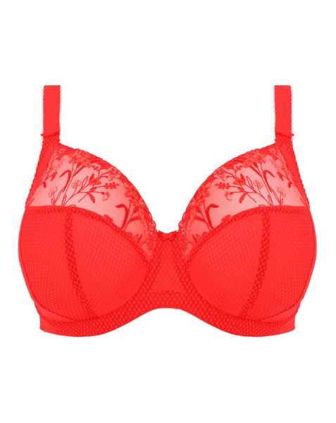 Elomi Charley Plunge Wired Bra Salsa