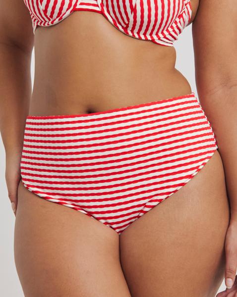 Contour High Leg Bikini Brief
