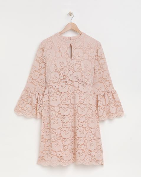 Joanna Hope Lace Shift Dress