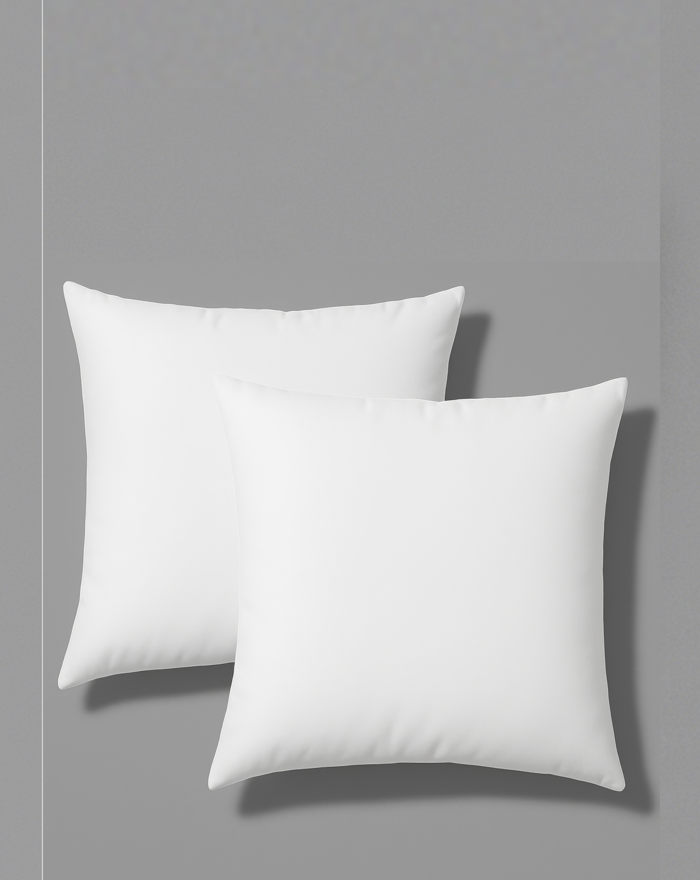 Cushion Fillers - Pack of 2