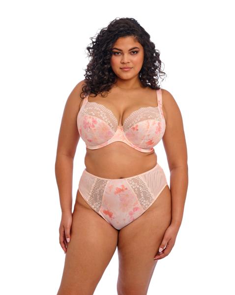 Elomi Lucie Plunge Wired Bra Cosmos