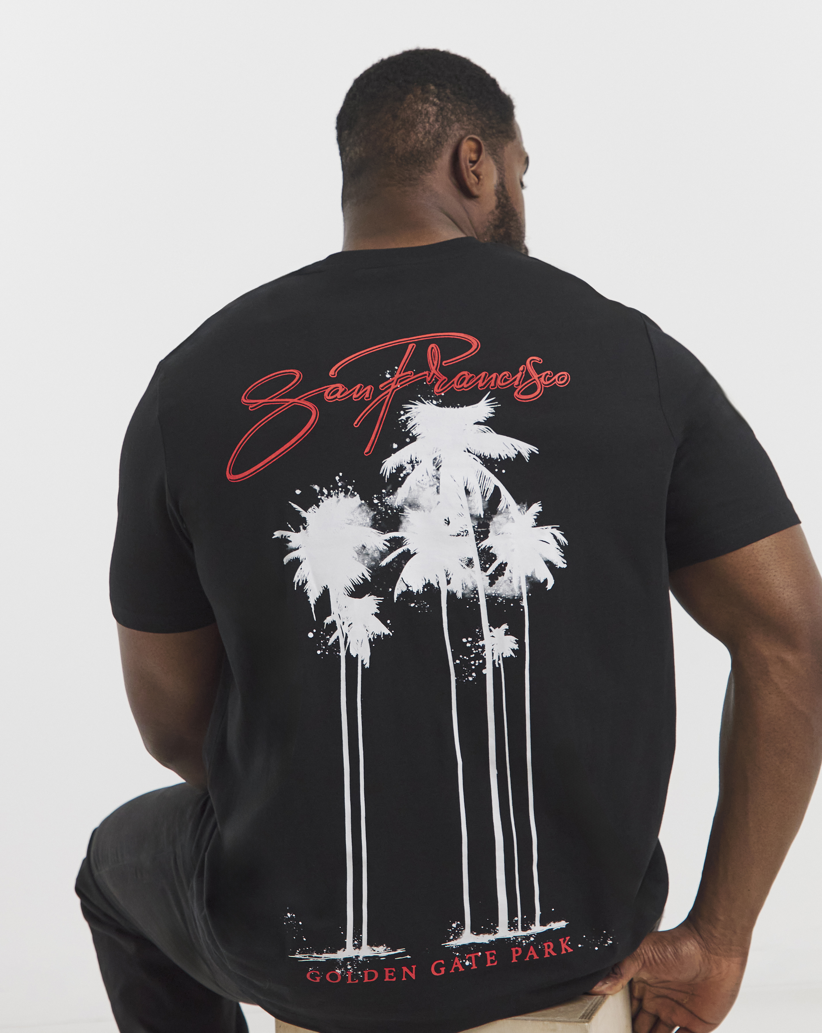 Jack & Jones Bradley Back Graphic T-Shir