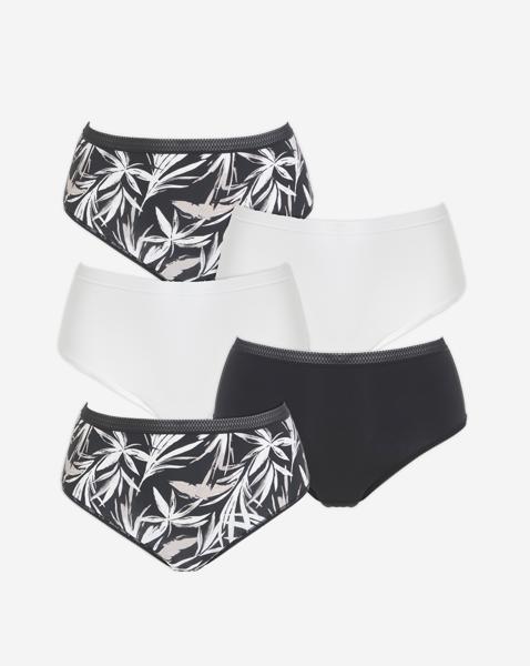 5 Pack Micro Midi Briefs