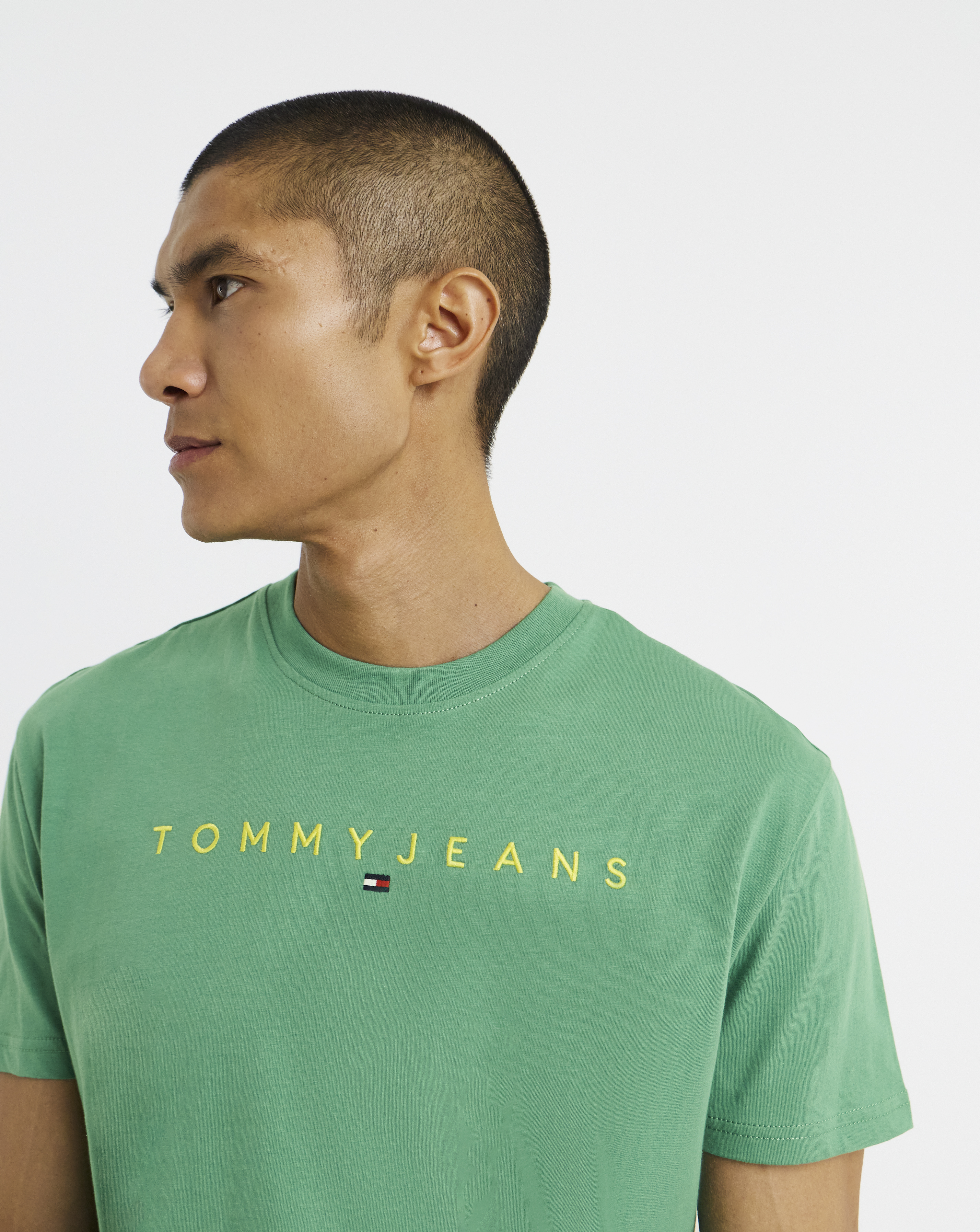 Tommy Jeans Regular Linear Logo T-Shirt