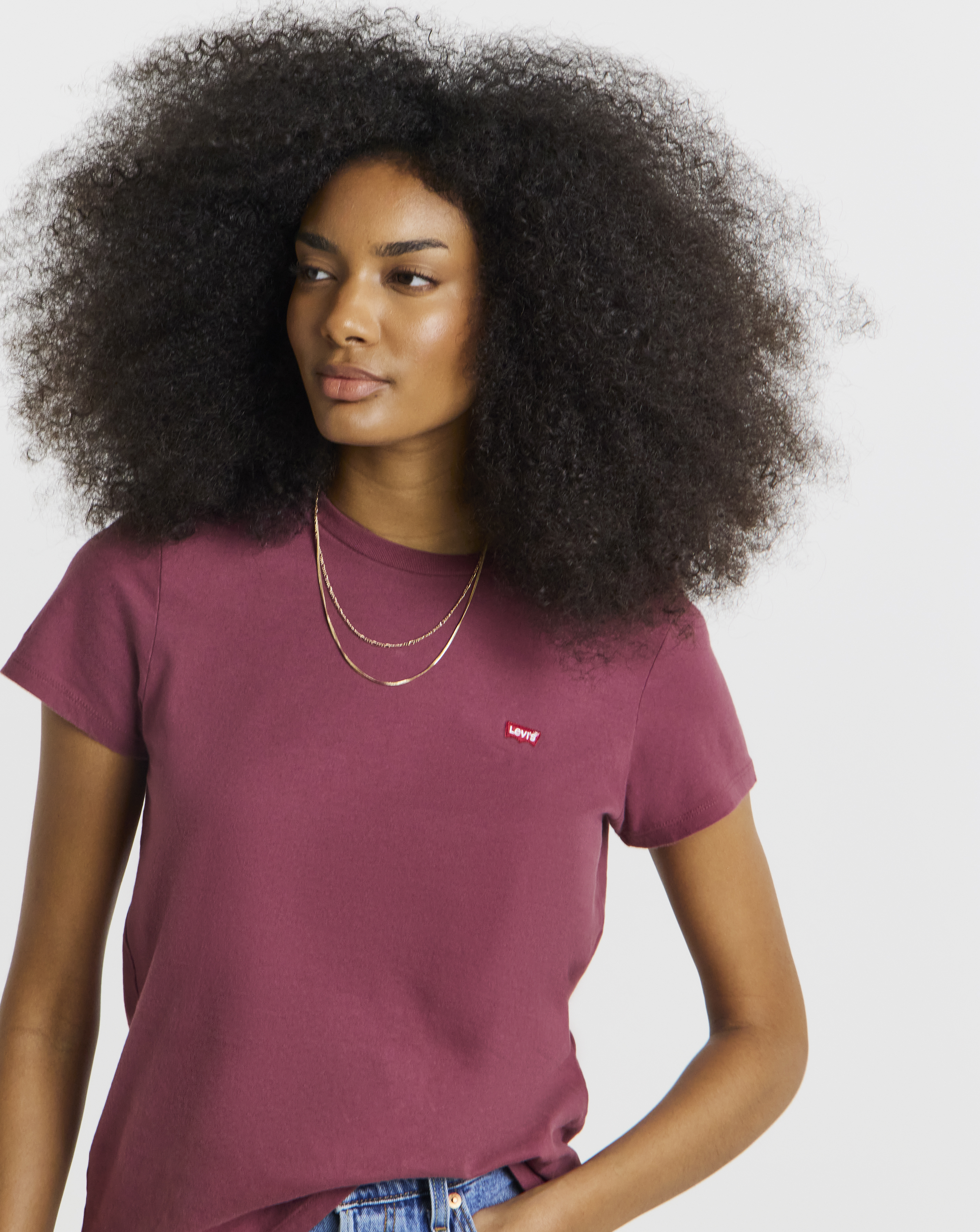 Levi's Perfect Tee